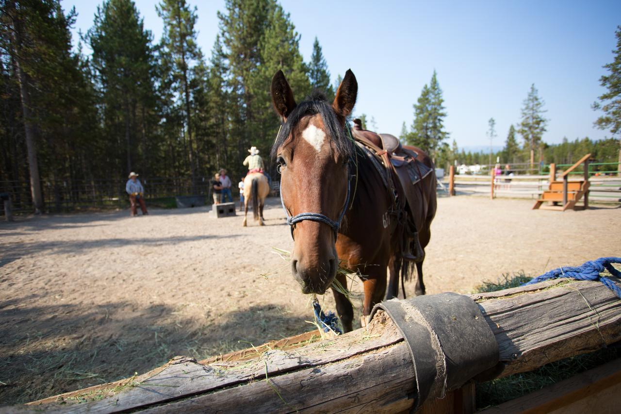 מורן Headwaters Lodge & Cabins At Flagg Ranch מראה חיצוני תמונה