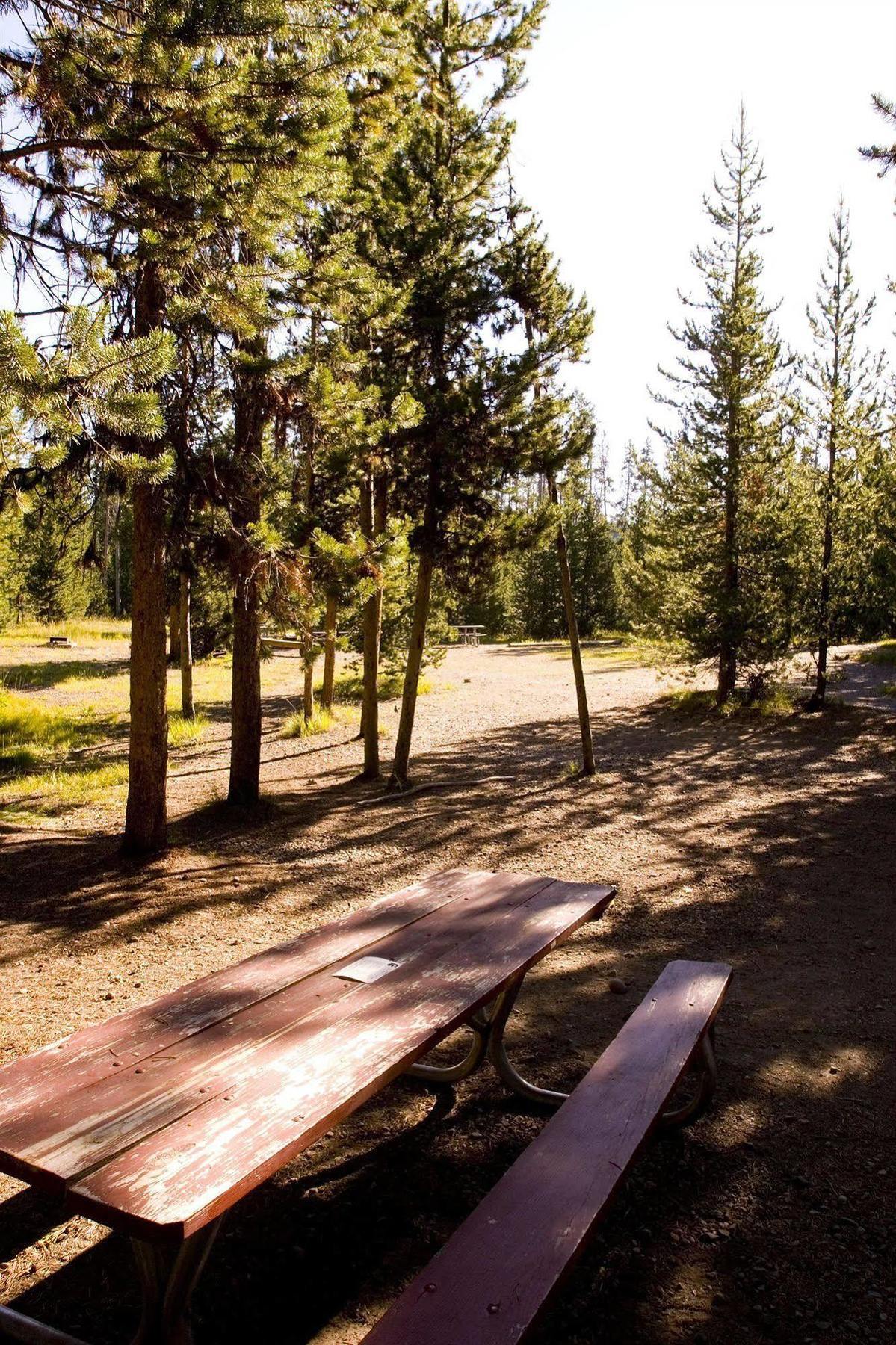 מורן Headwaters Lodge & Cabins At Flagg Ranch מראה חיצוני תמונה