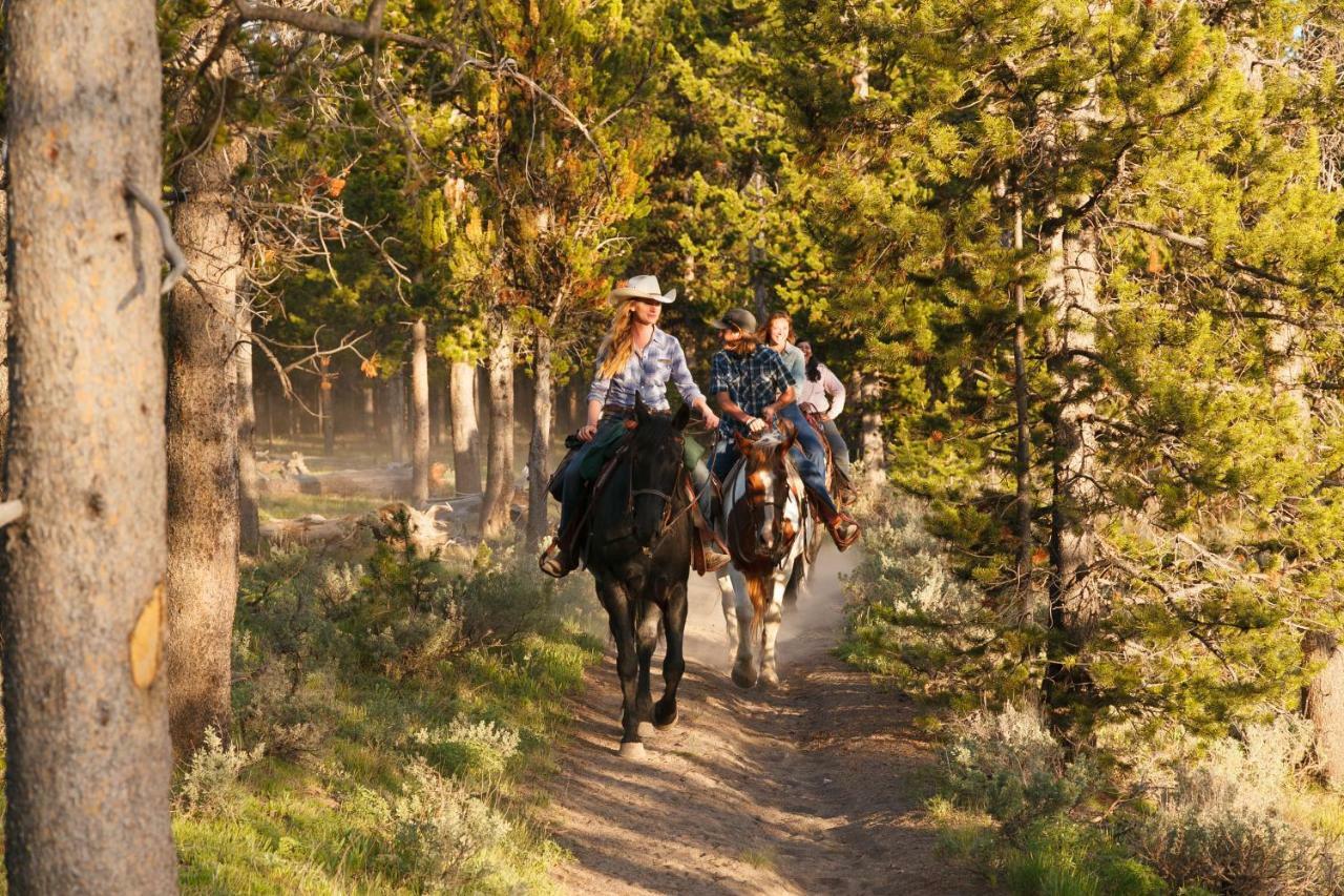מורן Headwaters Lodge & Cabins At Flagg Ranch מראה חיצוני תמונה